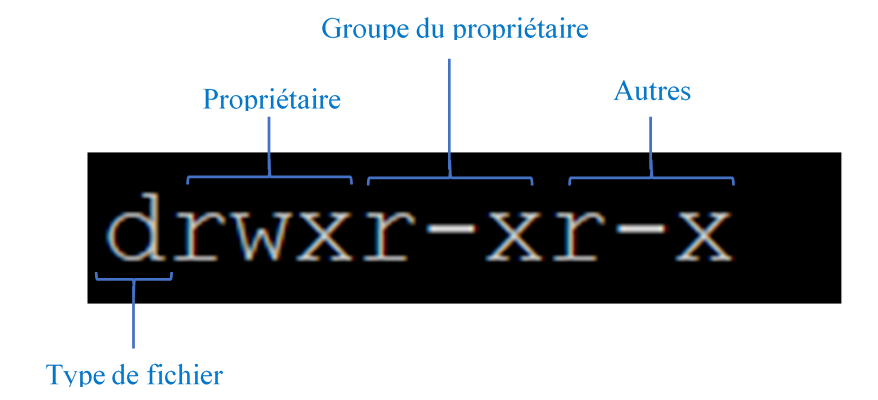 Lecture de la chaîne rwx